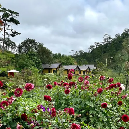 Lat Valley Retreat Village Đà Lạt Exterior foto